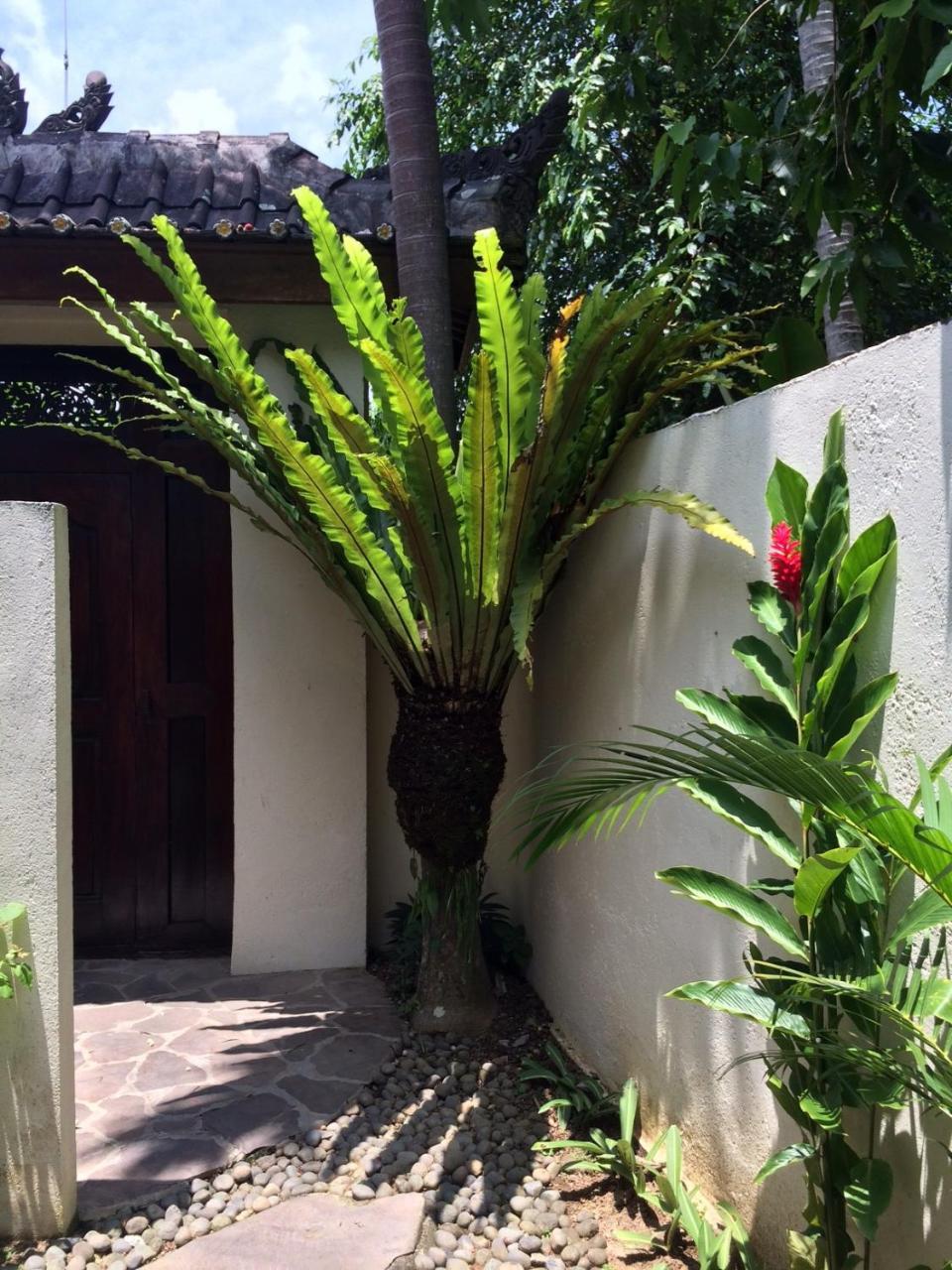 Villa Bulan Mas Ubud Exteriör bild